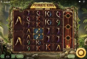 Primate King slot online